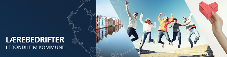 Beskriv bildet /  Fotograf: