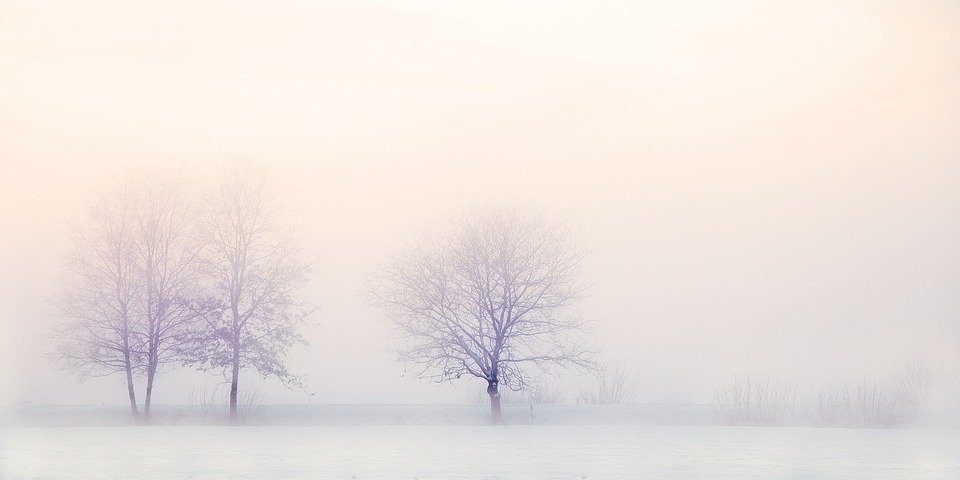 Snø