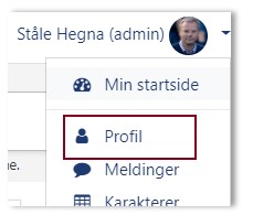 Skjermbilde som viser Profil