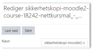 Skjermbilde av rediger sikkerhetskopi fil