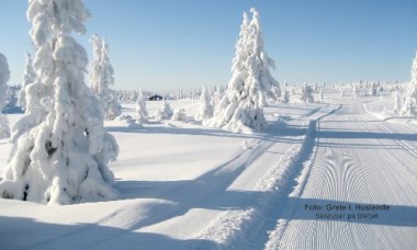 Skiløyper på Blefjell. Foto Grete Irene Huslende